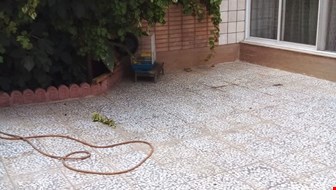 اجاره ویلایی با 2 اتاق
