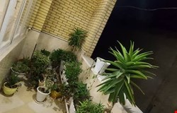 خرید ویلایی با 1 اتاق