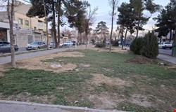 خرید زمین با 
