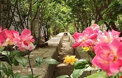 خرید ویلایی با 2 اتاق